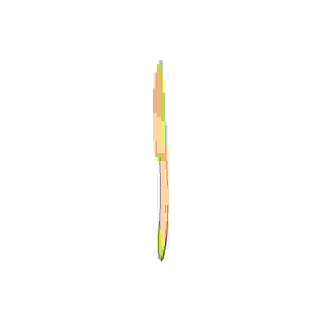 Orca Gold nůž dezertní 21,3 cm