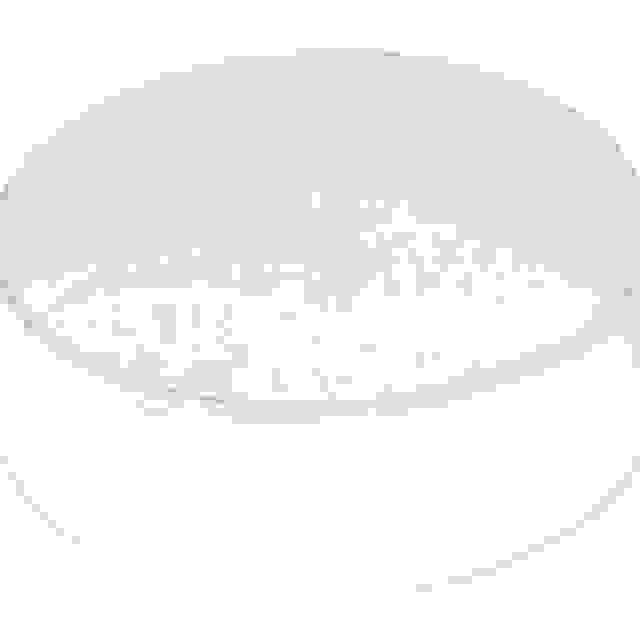 Poklop - 300x100 mm
