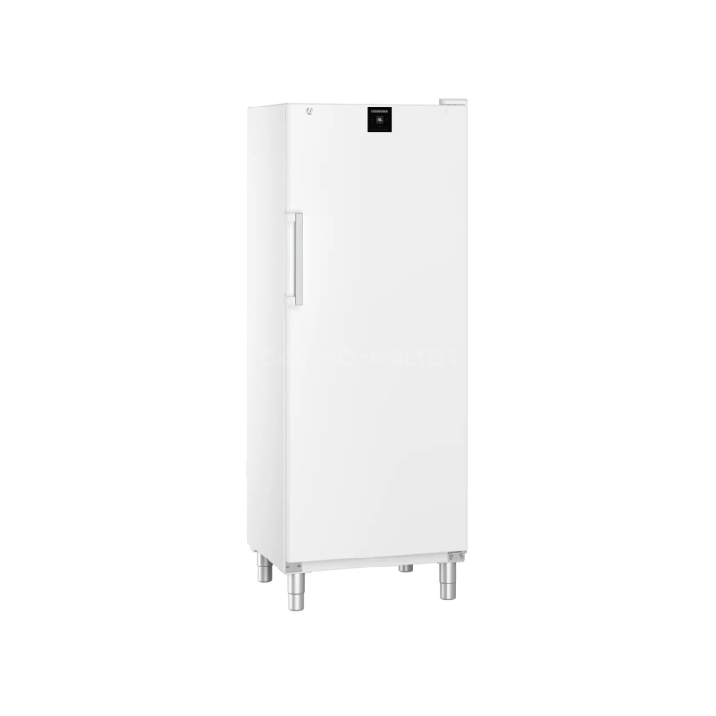 Skříň mrazící FFFsg 6501
